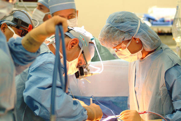Создание центра трансплантации костного мозга  одобрили гематологи
