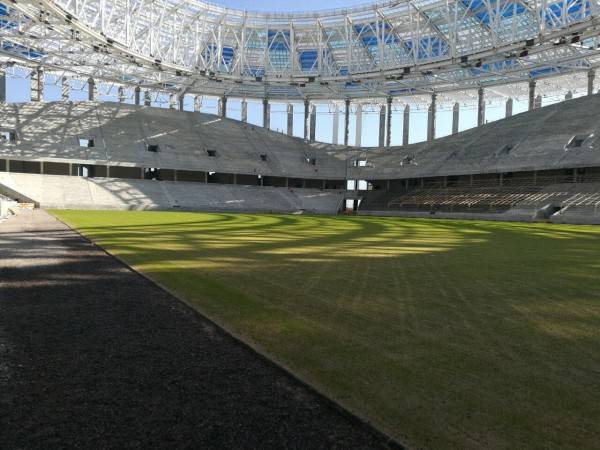 Валерий Шанцев поделился фото зеленого газона на новом стадионе