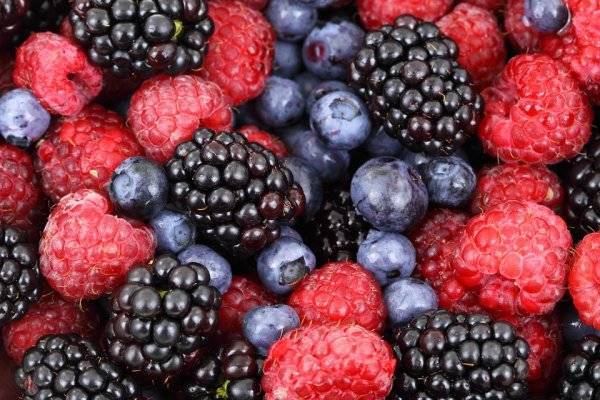 Десятую часть ягод в России обеспечит Нижегородская область