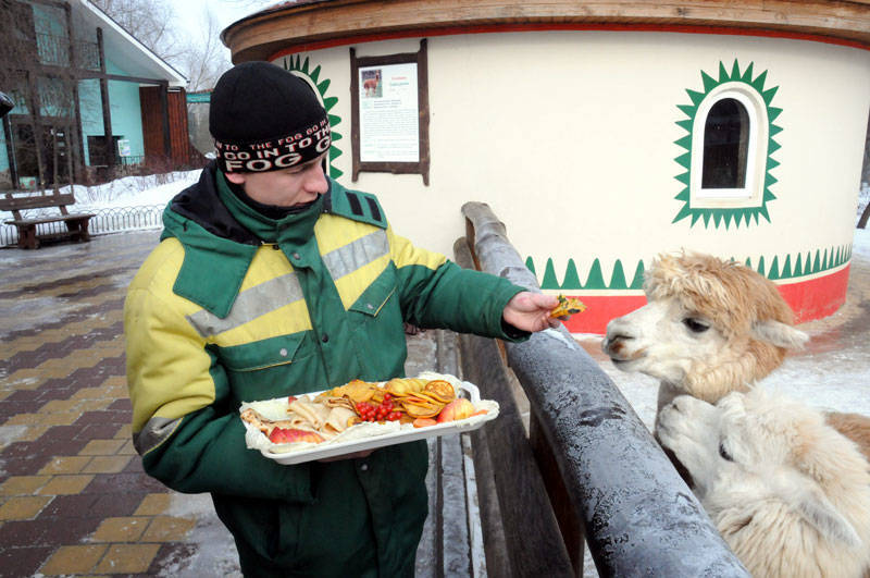 Обитатели нижегородского зоопарка «Лимпопо» ждут Масленицы не меньше, чем люди (фоторепортаж)