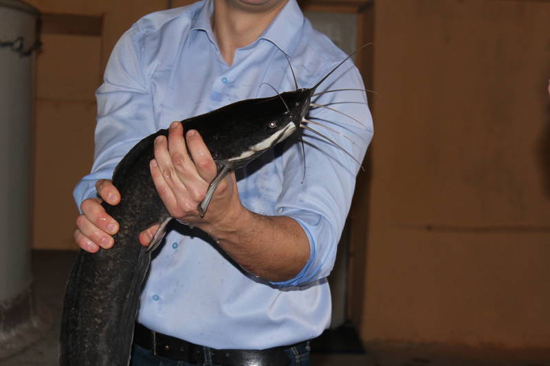 Николай Бондаренко: «Нижегородские рыбоводы пройдут обучение в рамках региональной программы»