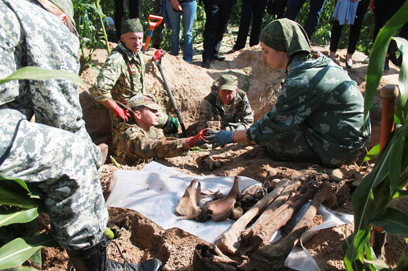 Поисковики из Нижегородской области и Беларуси нашли останки красноармейцев