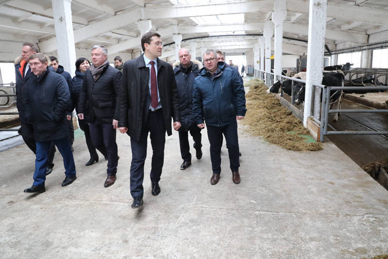 Глеб Никитин: «Поддержка животноводства в 2019 году из областного бюджета увеличена почти на треть» (фоторепортаж)