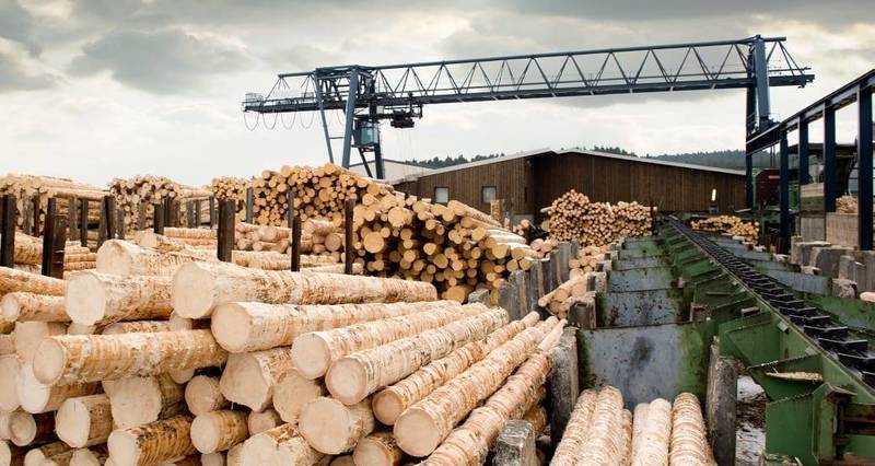Почти 700 пунктов переработки древесины поставили на учет