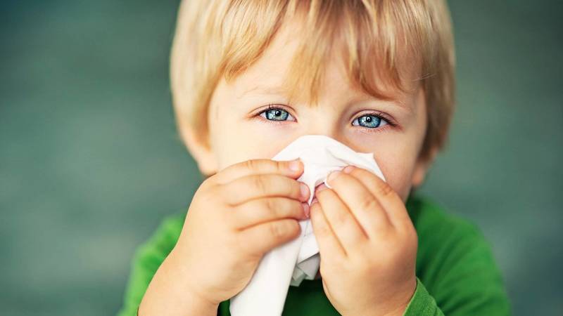 Медики рекомендуют лечить сезонные аллергии у детей в зимний период
