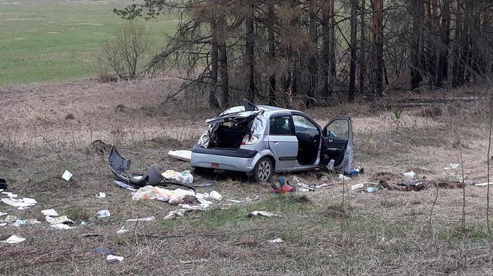 Иномарка улетела в кювет в Нижегородской области (ФОТО)