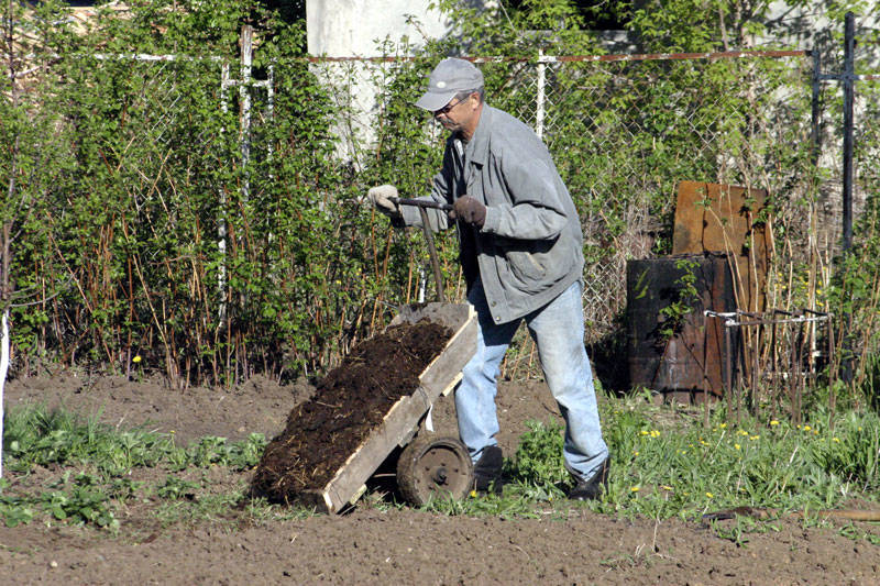 Используем народные средства ухода за садом и огородом