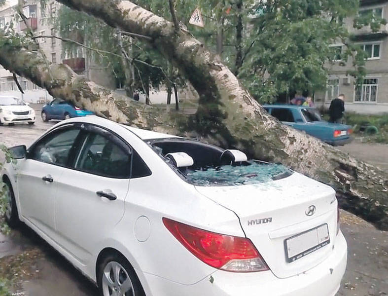 Аномальные погодные явления заполонили всю страну