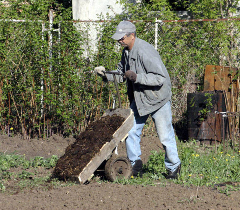 Используем народные средства ухода за садом и огородом