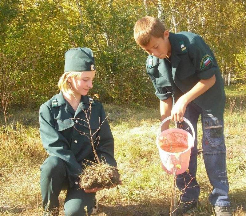 Первый слет школьных лесничеств прошел в Нижегородской области