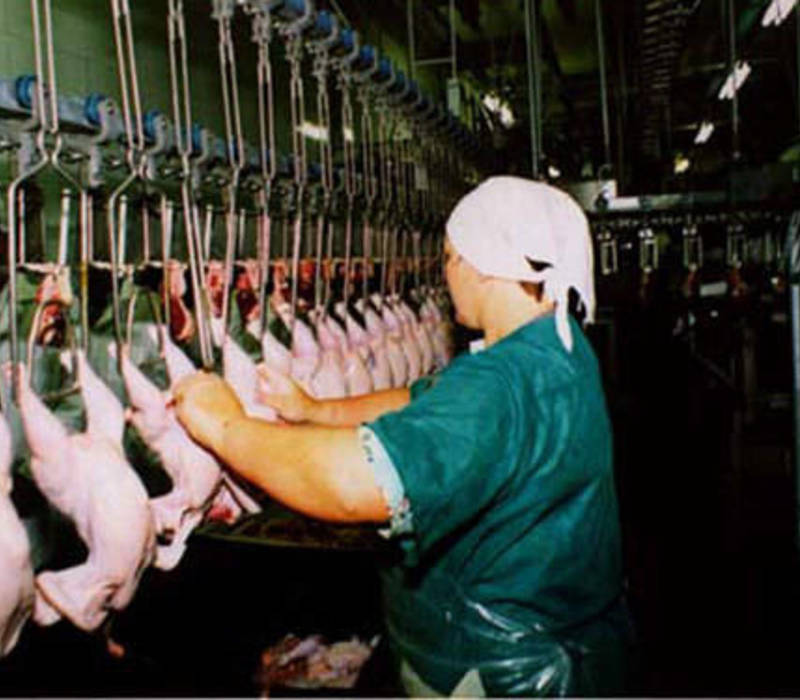 Сельхозпродукции становится больше