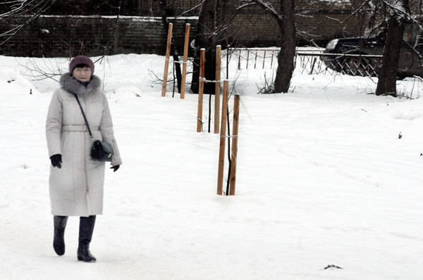 Осеннее озеленение по-нижегородски