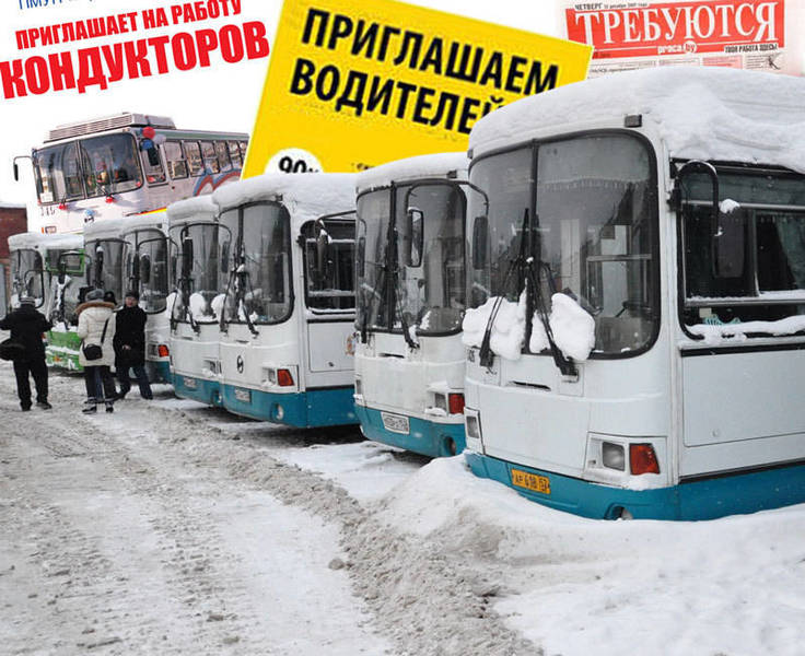 Не заманишь баранкой
