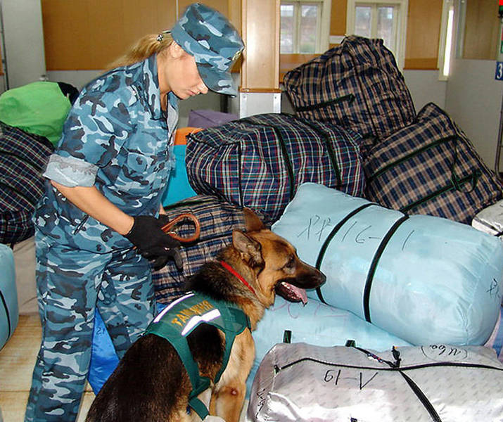 Таможня дает втык