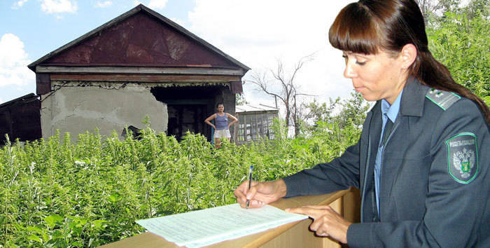 Нерадивых дачников лишают участков