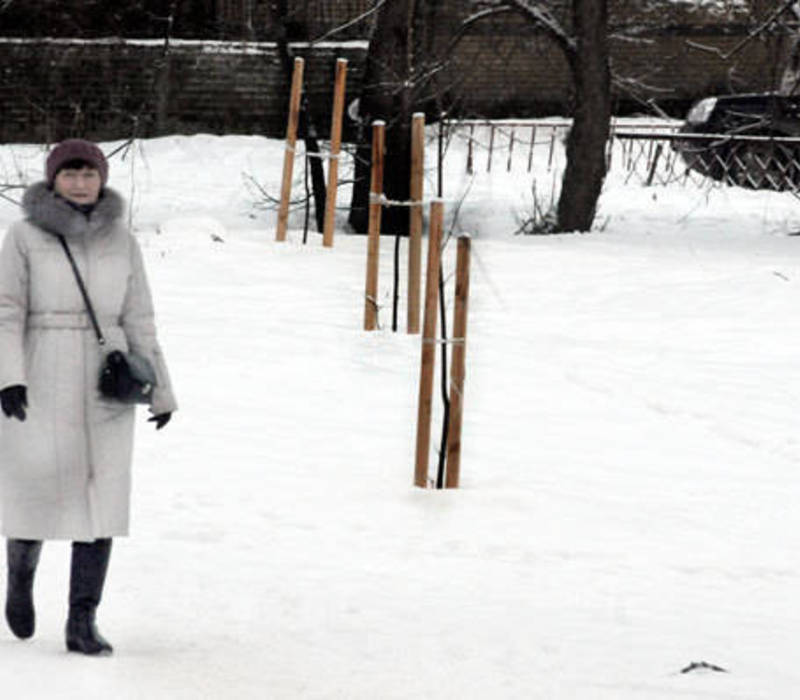 Осеннее озеленение по-нижегородски