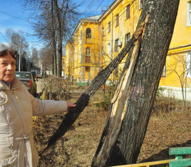 Липовые услуги выполняет ДУК на Черняховского