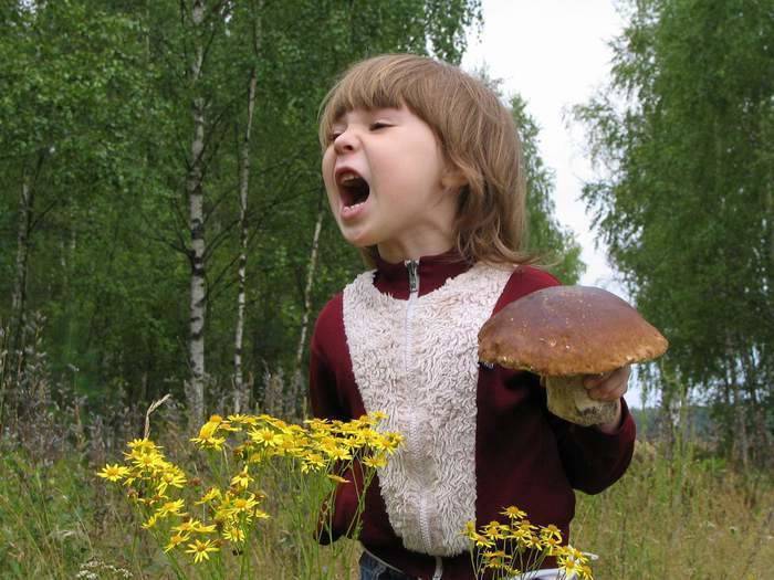 Свинушки как поганки