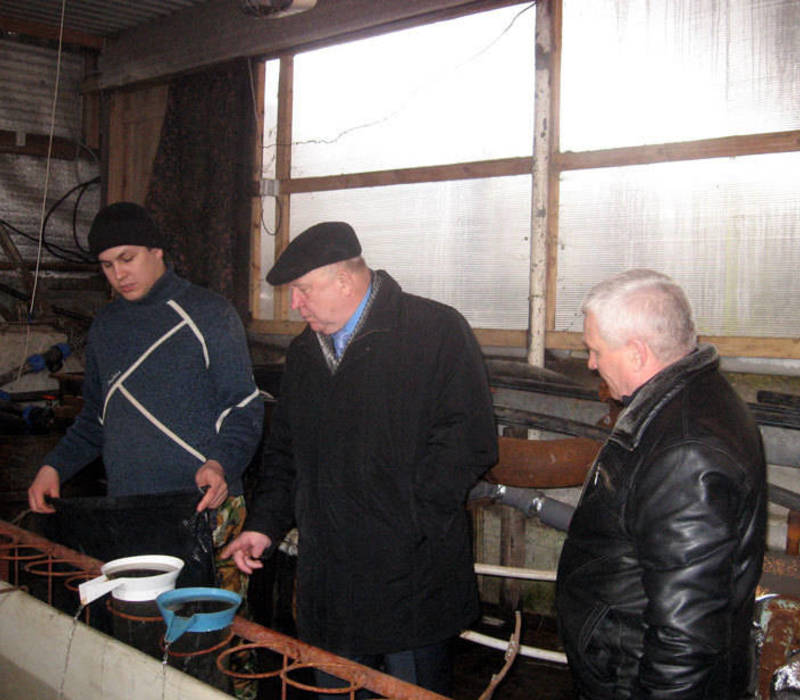 Поедим рыбки вдоволь?