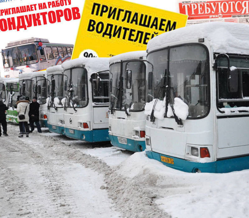 Не заманишь баранкой