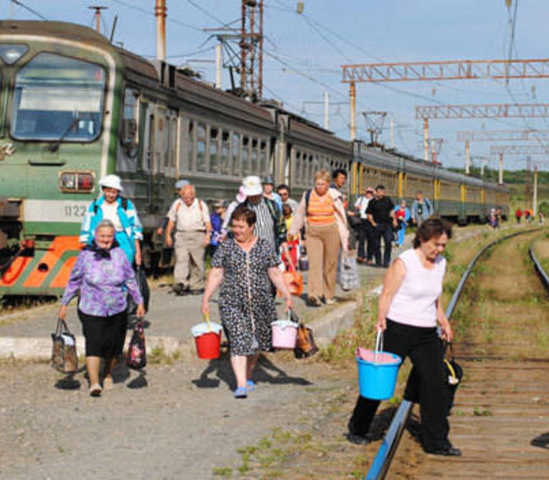 За полцены на электричке