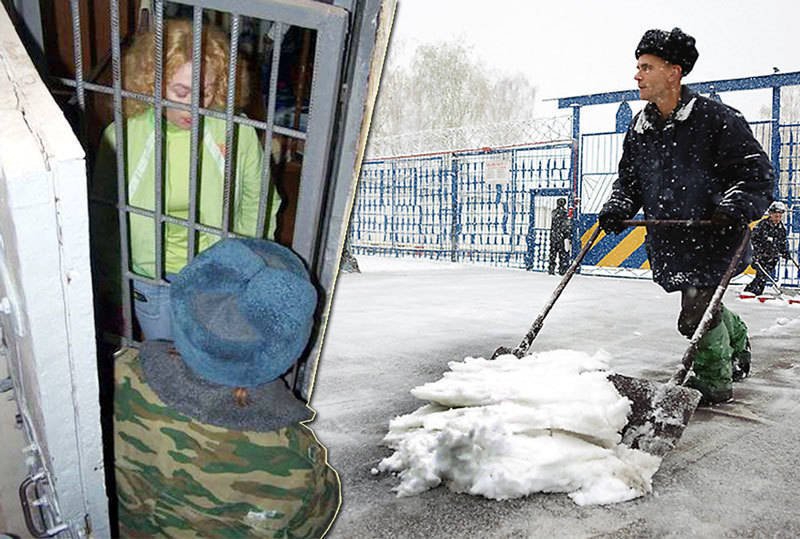 Вслед за супругой