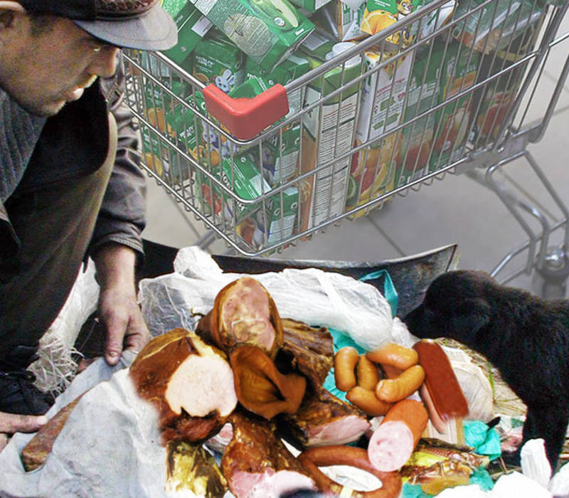 Куда из магазинов деваются вовремя нереализованные продукты питания?