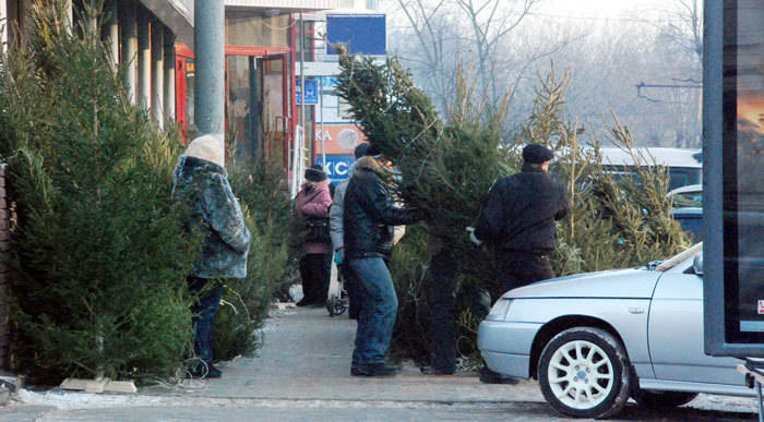 В Нижнем Новгороде открылись елочные базары