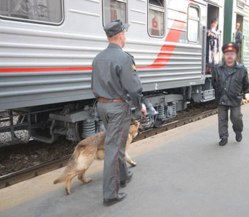 Перебравших нижегородцев пришлось ссаживать с поезда