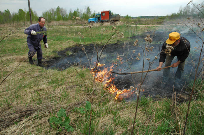 Добровольных пожарных застрахуют