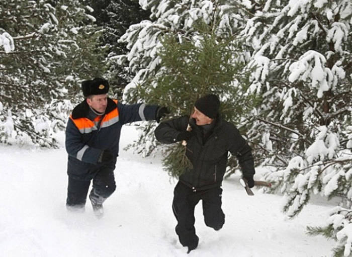 Задержали черных лесорубов