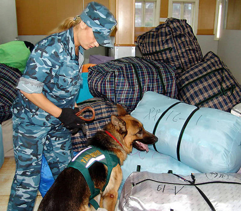 Таможня дает втык
