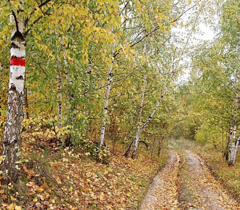 Новый туристический маршрут откроют в Нижегородской области 