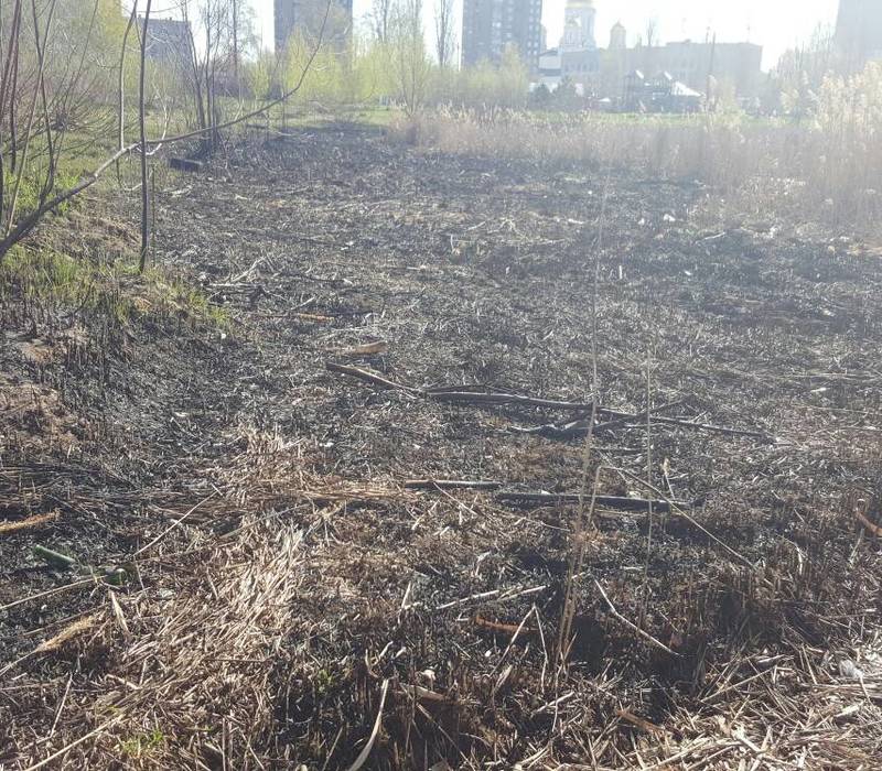 Экологическая акция «Чистый берег» пройдет в Автозаводском районе
