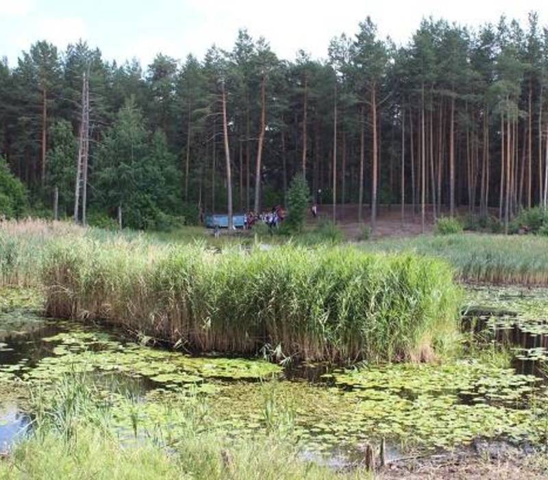 Парк утиное озеро дзержинск