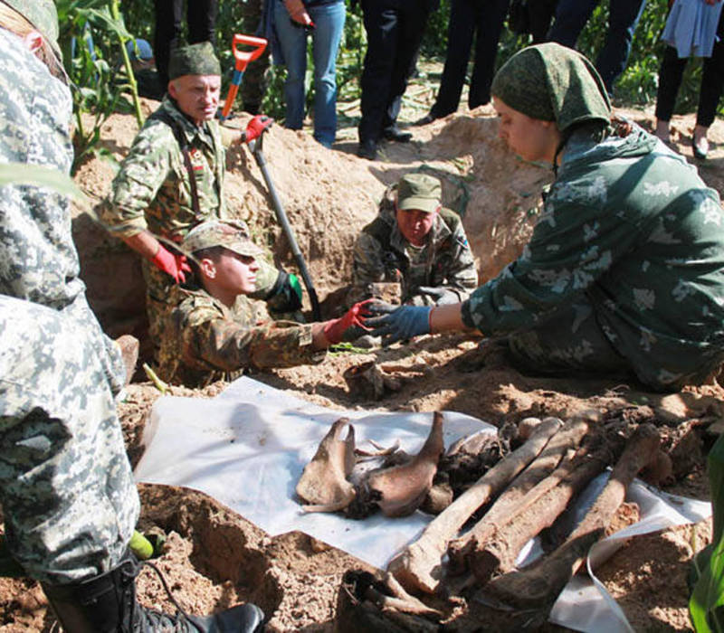 Поисковики из Нижегородской области и Беларуси нашли останки красноармейцев