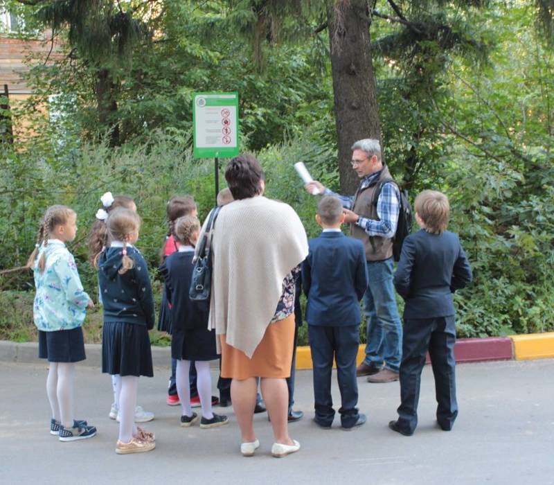 Для нижегородских школьников провели экологическую экскурсию по деревьям-памятникам