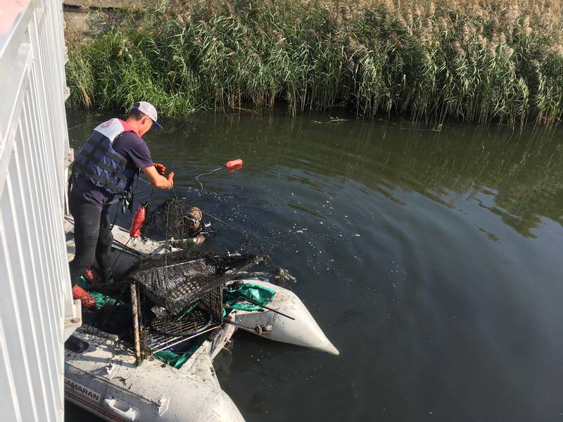 Водолазы приступили к очистке Мещерского озера от мусора