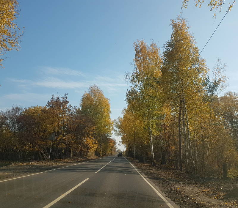 В 30 районах области полностью завершен ремонт по национальному проекту «Безопасные и качественные автомобильные дороги»