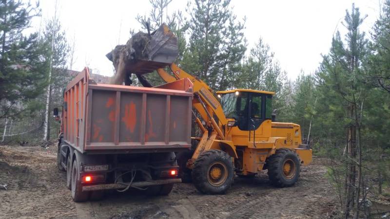 Несанкционированную свалку объемом больше 1300 куб. м ликвидируют в Дзержинске