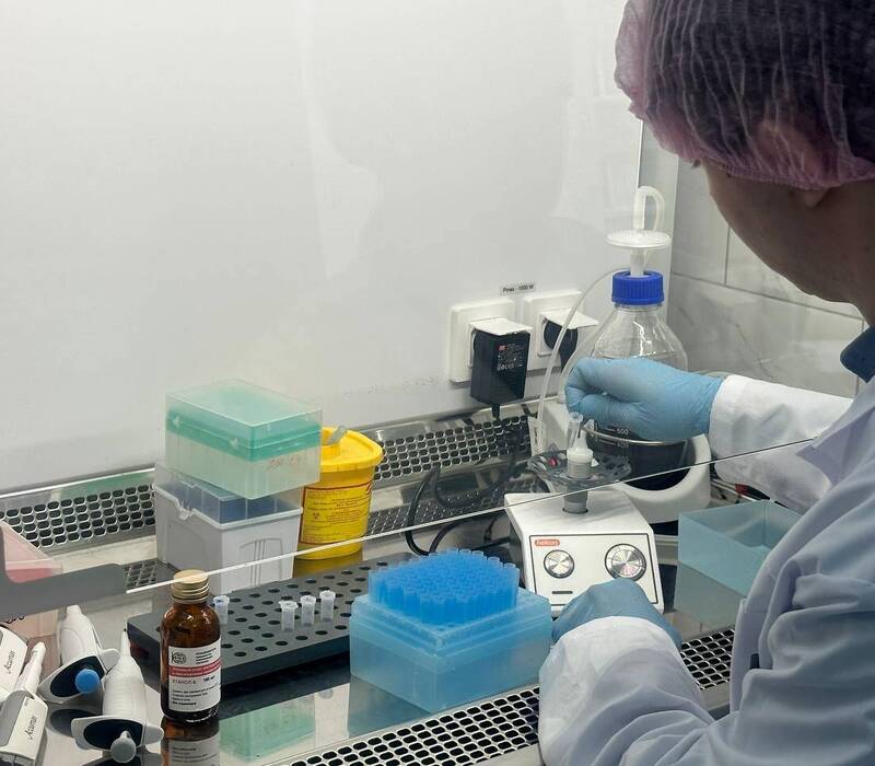 Инновационную тест-систему для определения лейкоза крупного рогатого скота разработали нижегородские ученые при поддержке НОЦ