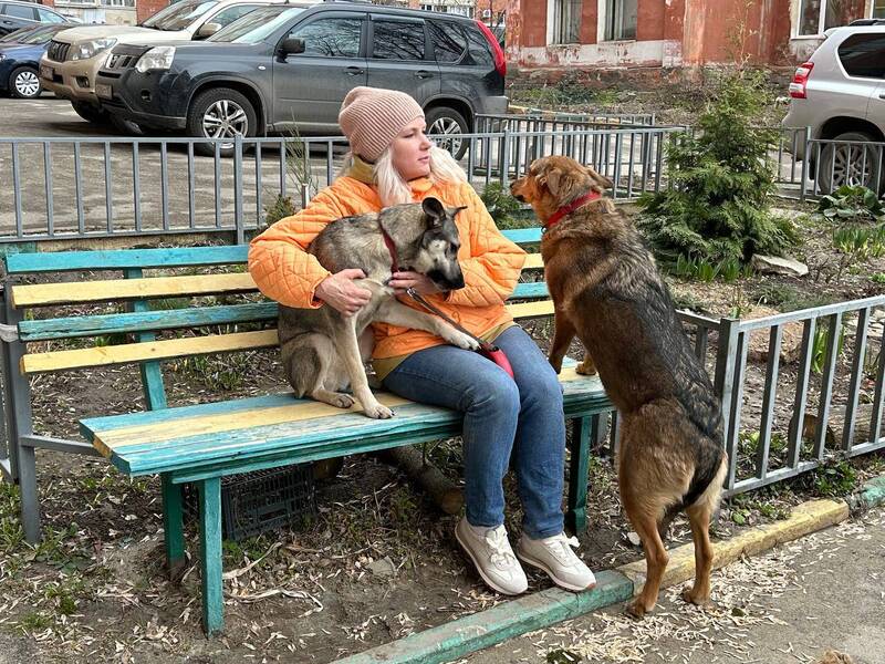 Женщин и собак обижать не рекомендуется. И те, и другие потом подолгу не доверяют ласке