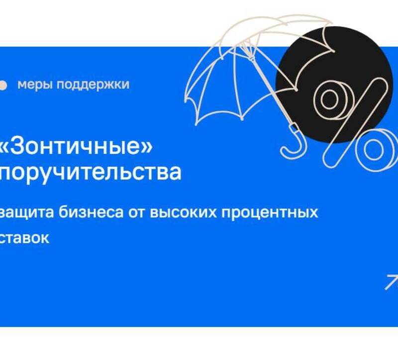 Нижегородский бизнес в 2023 году на 10% увеличил объем привлеченных средств под «зонтичные» поручительства