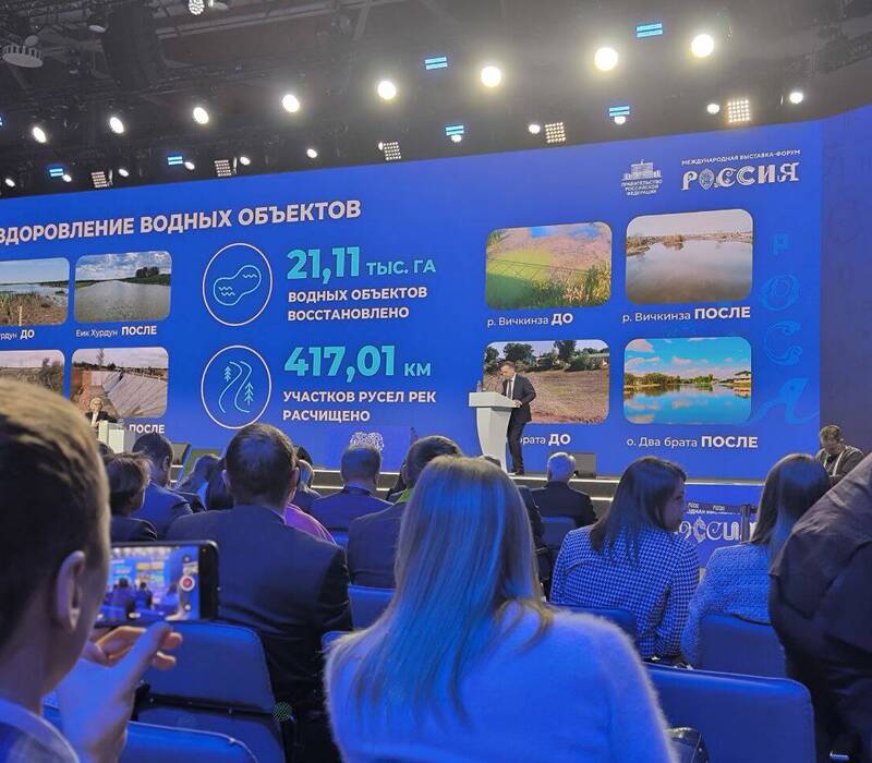 Расчистку русла Вичкинзы в Нижегородской области отметили в числе лучших практик по оздоровлению рек на Дне экологии на ВДНХ
