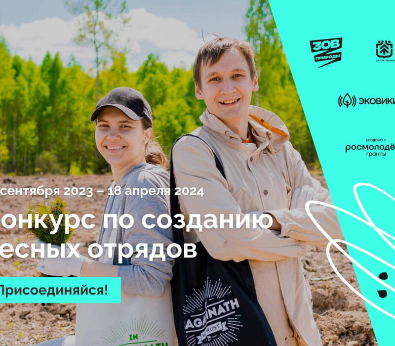 Нижегородцев приглашают присоединиться к сообществу лесных волонтеров