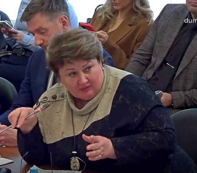 Альбина Разина представила нижегородский опыт по поддержке семейного предпринимательства в Госдуме РФ