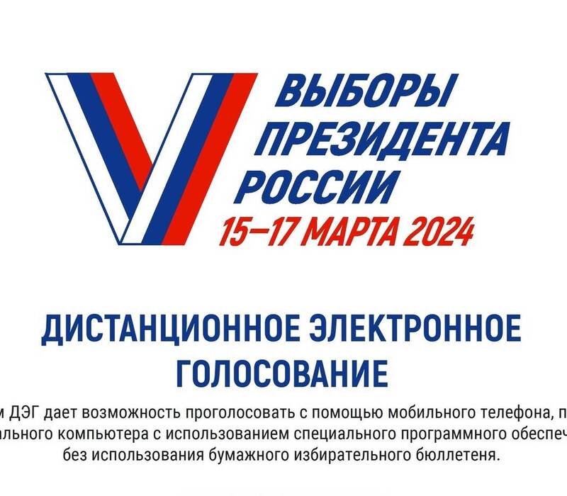 5 и 6 марта нижегородцы смогут принять участие в тестовом дистанционном электронном голосовании