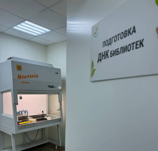 Молекулярно-генетическую лабораторию создали на базе Нижегородского областного клинического онкологического диспансера