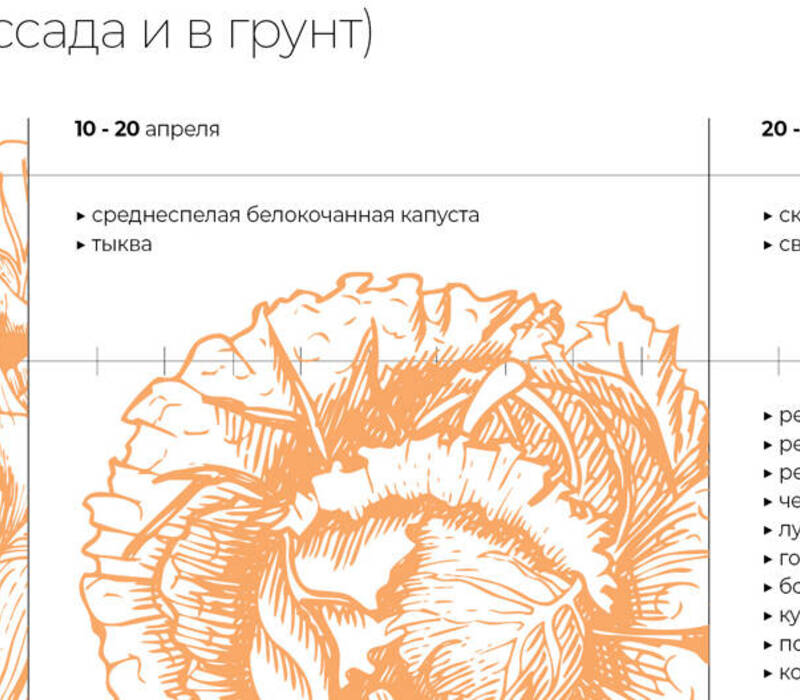 Что в первую очередь нужно делать на даче в конце марта
