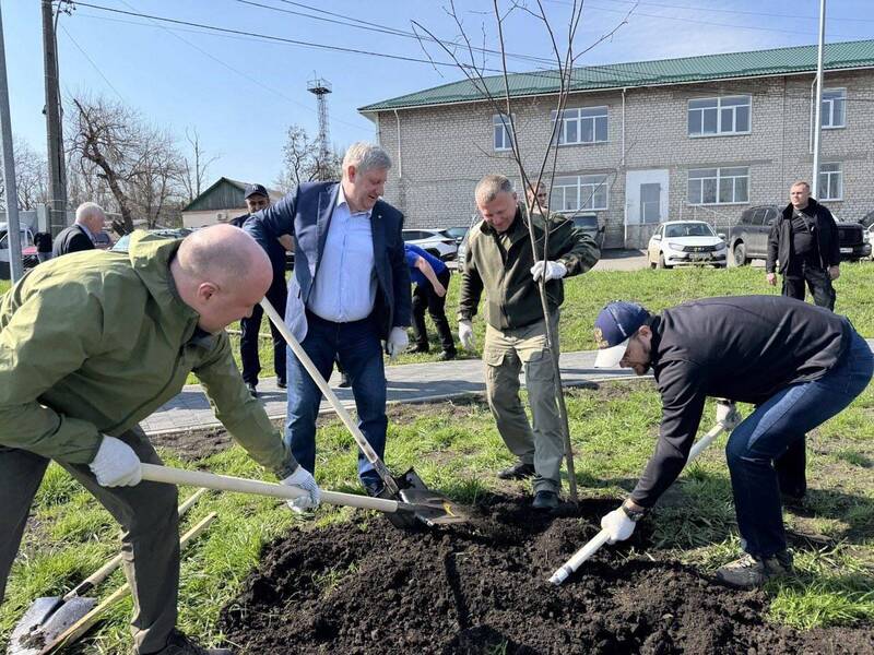 В Харцызске в сквере «Нижегородский» высадили аллею в честь 80-летия Победы в Великой Отечественной войне